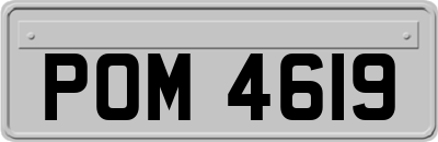 POM4619