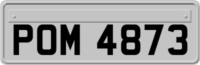 POM4873