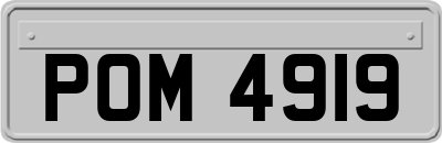 POM4919