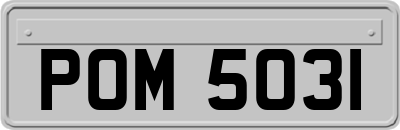POM5031