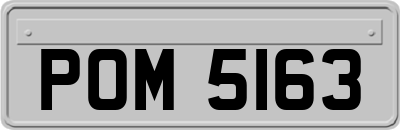 POM5163
