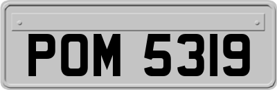 POM5319