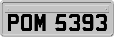 POM5393