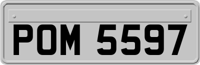 POM5597