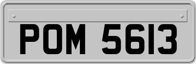 POM5613