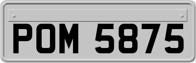 POM5875
