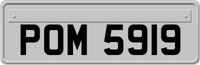 POM5919