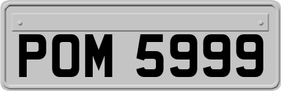 POM5999