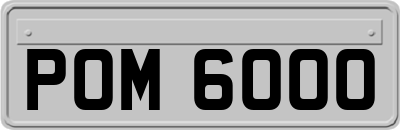 POM6000