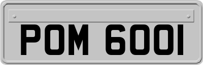 POM6001