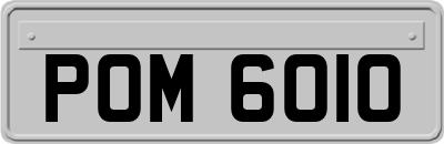 POM6010