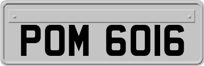 POM6016