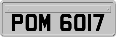 POM6017
