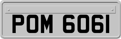 POM6061