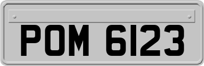 POM6123