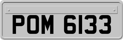 POM6133