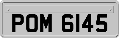 POM6145