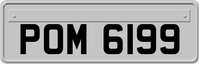 POM6199