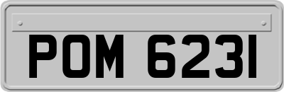 POM6231