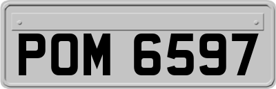 POM6597
