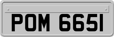 POM6651