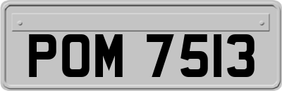 POM7513