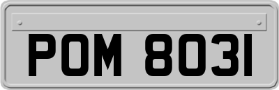 POM8031