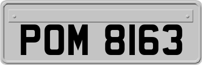 POM8163
