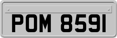 POM8591