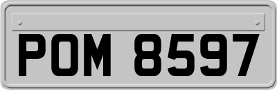 POM8597