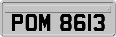 POM8613