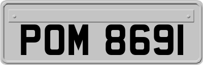 POM8691