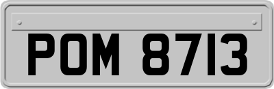 POM8713