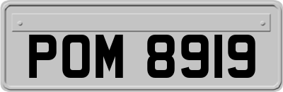 POM8919