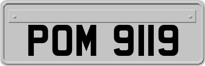POM9119