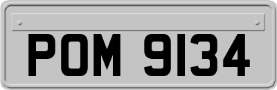 POM9134