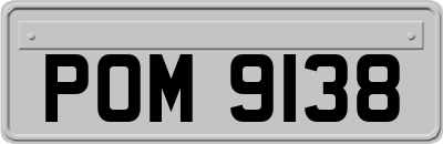 POM9138