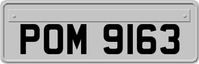 POM9163