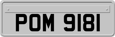 POM9181