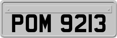 POM9213