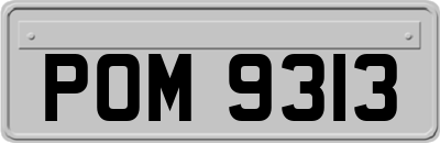 POM9313