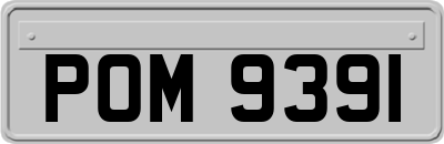 POM9391