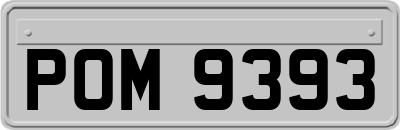 POM9393