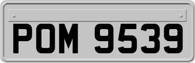 POM9539