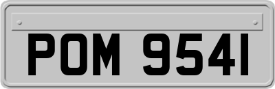 POM9541