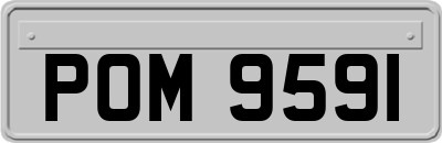 POM9591