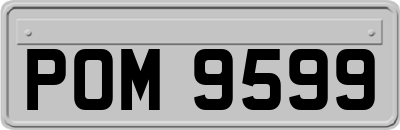 POM9599