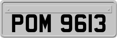 POM9613
