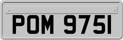 POM9751