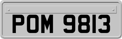 POM9813